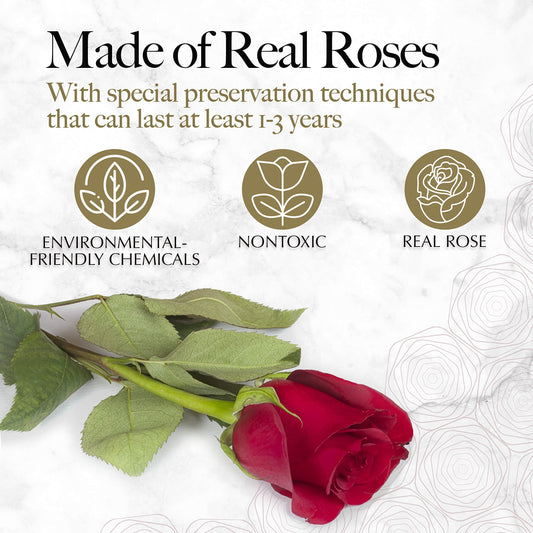 LoveBox London – 16 Roses in Luxury Heart Box, Arrives in 3 Days